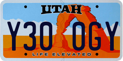UT license plate Y300GY