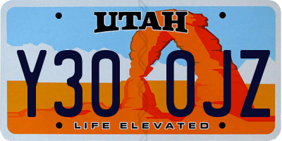 UT license plate Y300JZ