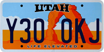 UT license plate Y300KJ