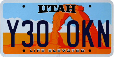 UT license plate Y300KN