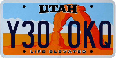 UT license plate Y300KQ