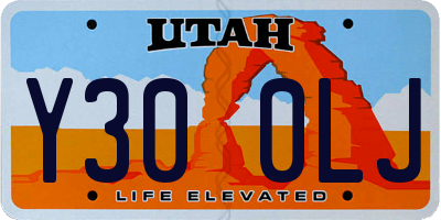 UT license plate Y300LJ