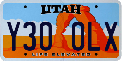 UT license plate Y300LX