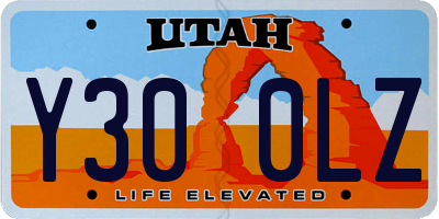 UT license plate Y300LZ