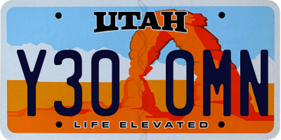 UT license plate Y300MN