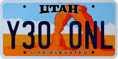 UT license plate Y300NL