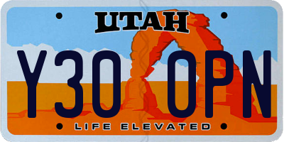 UT license plate Y300PN