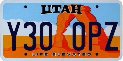 UT license plate Y300PZ