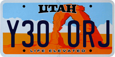 UT license plate Y300RJ
