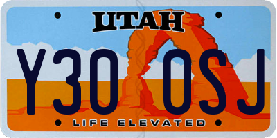 UT license plate Y300SJ