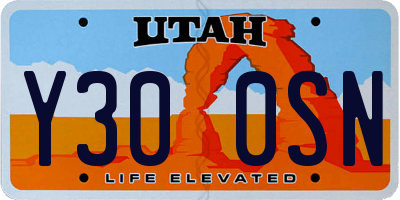 UT license plate Y300SN