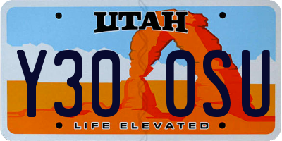UT license plate Y300SU