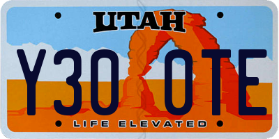 UT license plate Y300TE