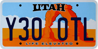 UT license plate Y300TL