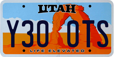 UT license plate Y300TS