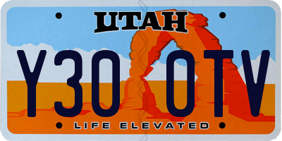 UT license plate Y300TV