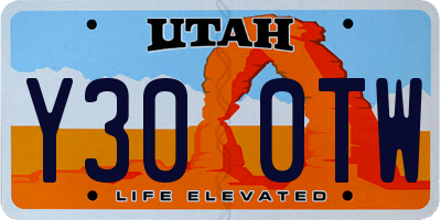 UT license plate Y300TW