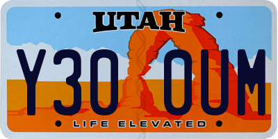 UT license plate Y300UM