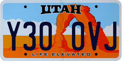 UT license plate Y300VJ