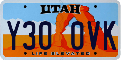 UT license plate Y300VK