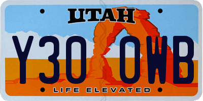 UT license plate Y300WB