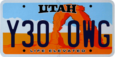 UT license plate Y300WG