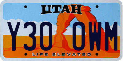 UT license plate Y300WM