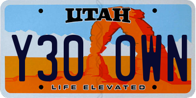 UT license plate Y300WN