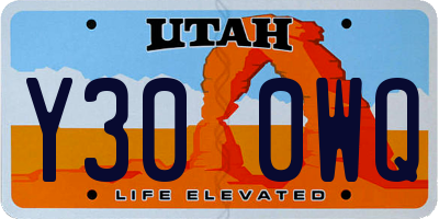 UT license plate Y300WQ