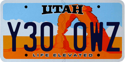 UT license plate Y300WZ