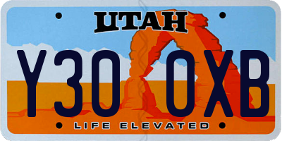 UT license plate Y300XB