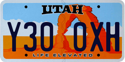 UT license plate Y300XH