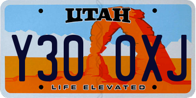 UT license plate Y300XJ