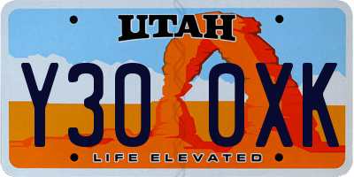 UT license plate Y300XK