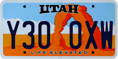 UT license plate Y300XW
