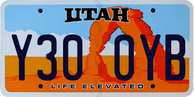 UT license plate Y300YB