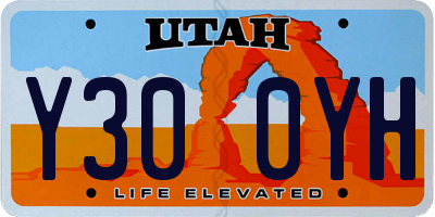 UT license plate Y300YH