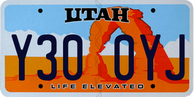 UT license plate Y300YJ
