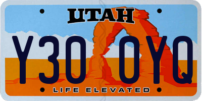 UT license plate Y300YQ