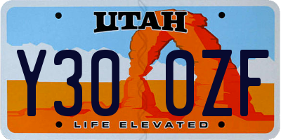 UT license plate Y300ZF