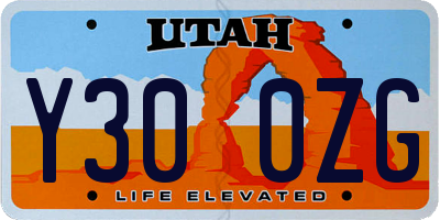 UT license plate Y300ZG