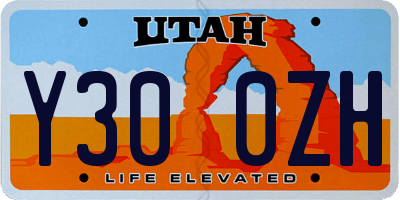 UT license plate Y300ZH