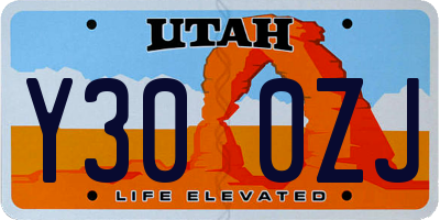 UT license plate Y300ZJ