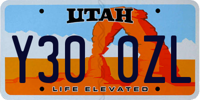 UT license plate Y300ZL