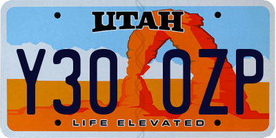 UT license plate Y300ZP