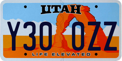 UT license plate Y300ZZ