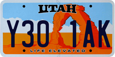UT license plate Y301AK