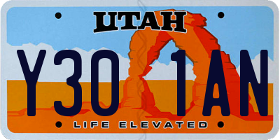 UT license plate Y301AN