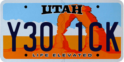 UT license plate Y301CK