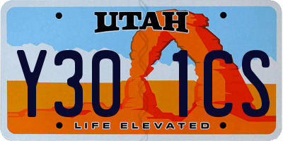 UT license plate Y301CS